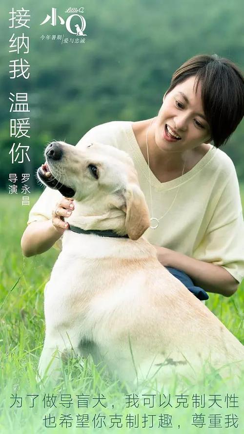 Providence College国际商务文凭证书